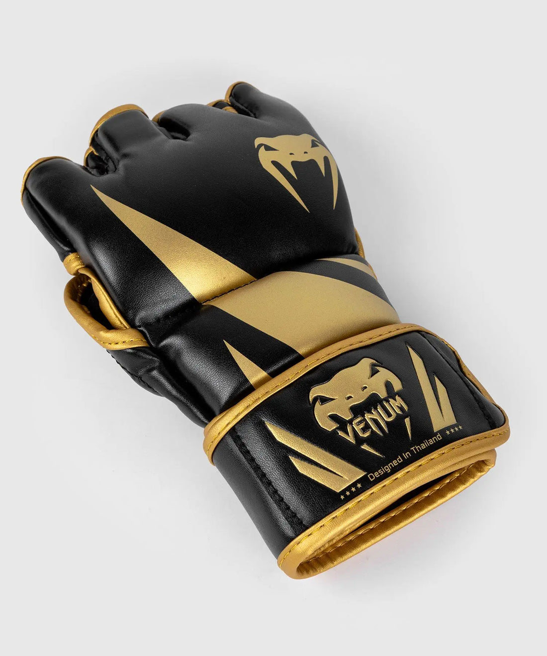 Choosing MMA Gloves for Beginners
