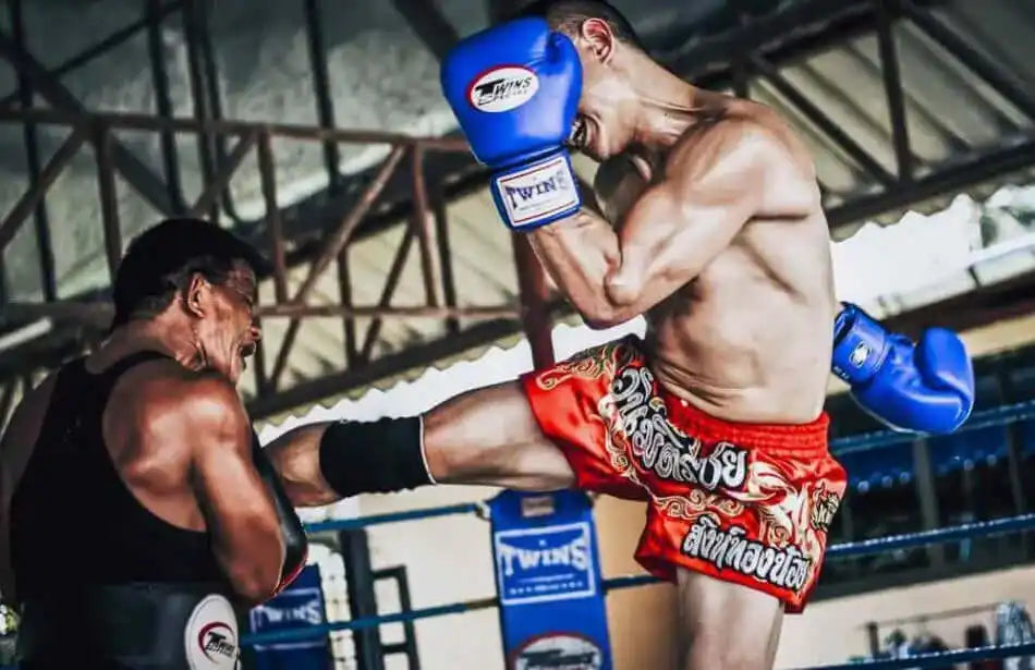 Martial Arts Supplies - Top Ten WAKO Gear, Twins Boxing Gloves, Venum Kickboxing