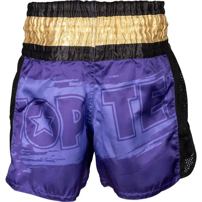 Top Ten Kickboxing shorts “Power Ink” - Purple - MASA