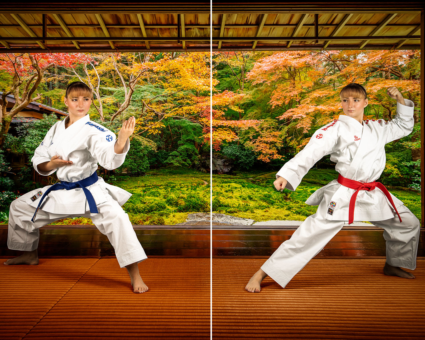 Premier League embroidery - WKF approved Kata Gi 